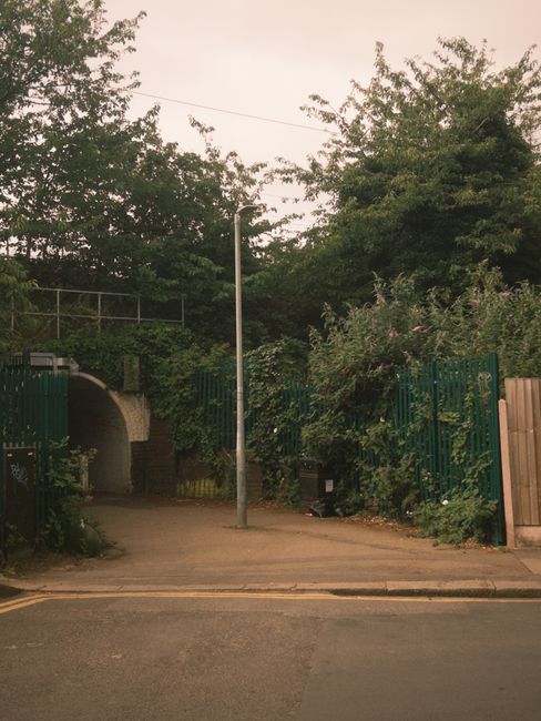 In this image, a large pile of various types of rubbish is visible on a paved driveway, including numerous cardboard boxes, plastic containers, and discarded packaging materials. The cardboard boxes a